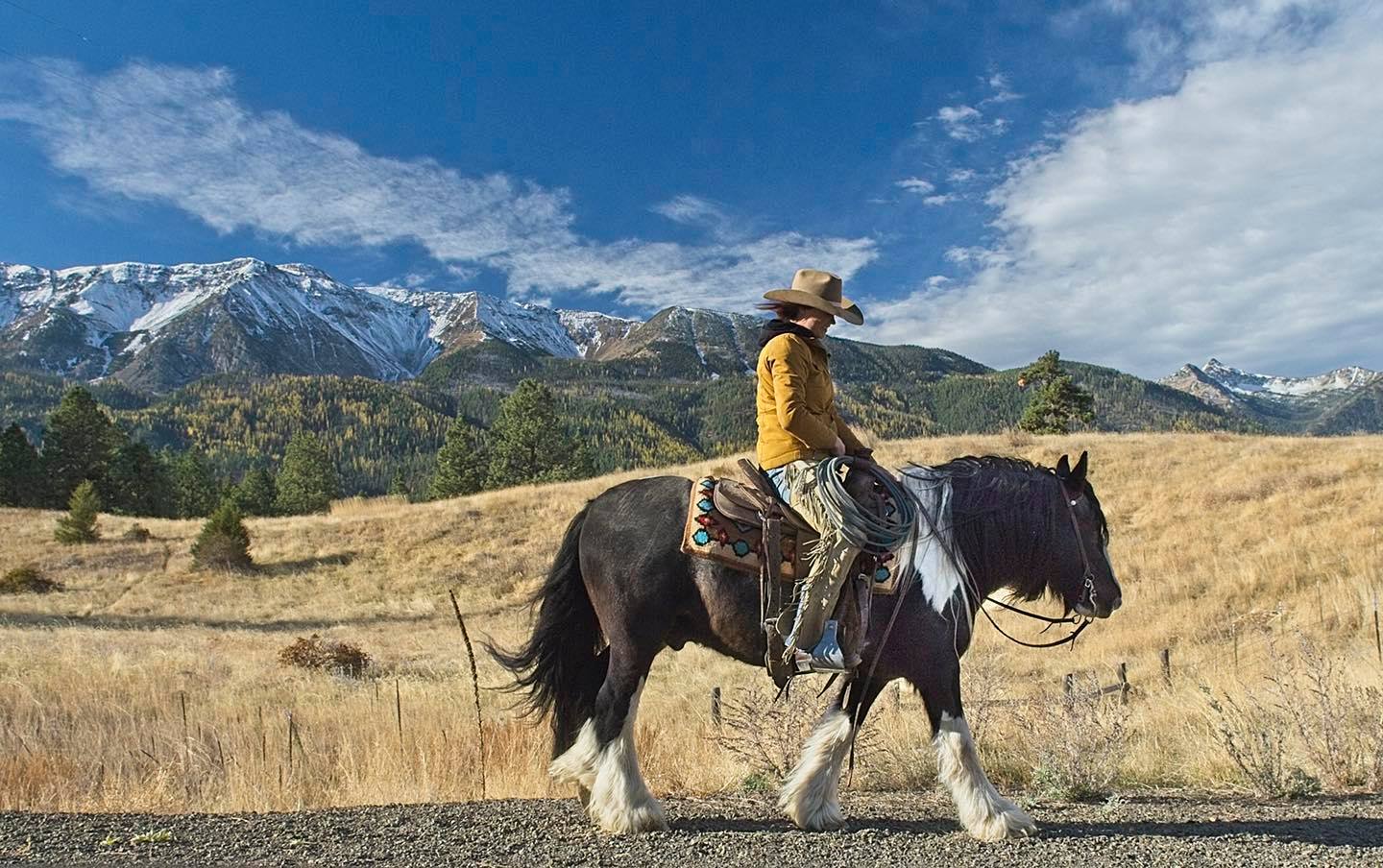 cobb megan cobb megan