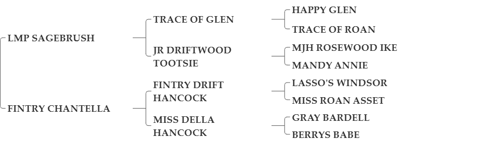 CR TRACE OF BARDELL CR TRACE OF BARDELL