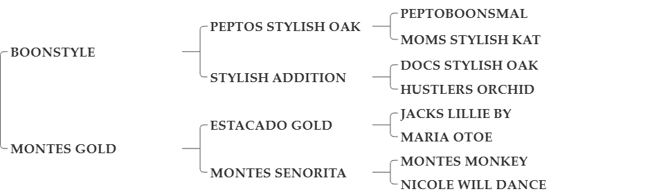 PEPTOS STYLISH GOLD PEPTOS STYLISH GOLD