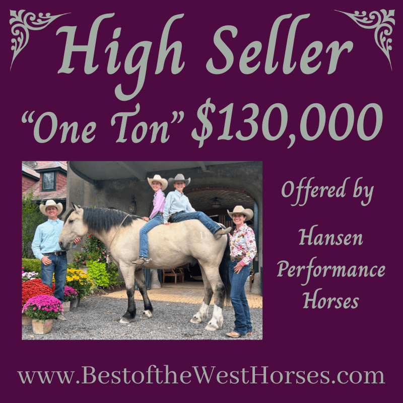 High Seller BotW 2025 High Seller BotW 2025
