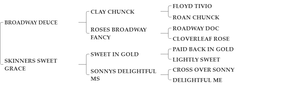 BROADWAY SKINNER