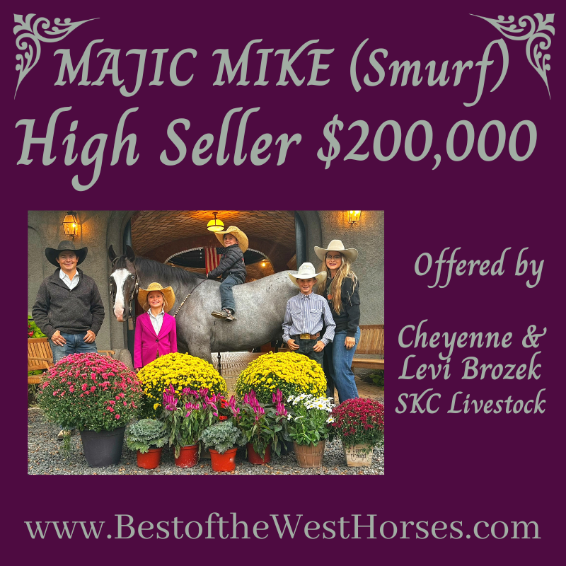 High Seller BotW 2026