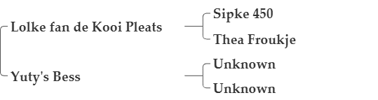 Logo's Dan