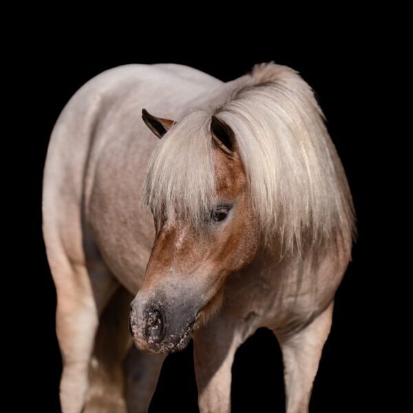 22A0B5D3-9BE4-4B4B-B8CA-45A24AC5FC0D