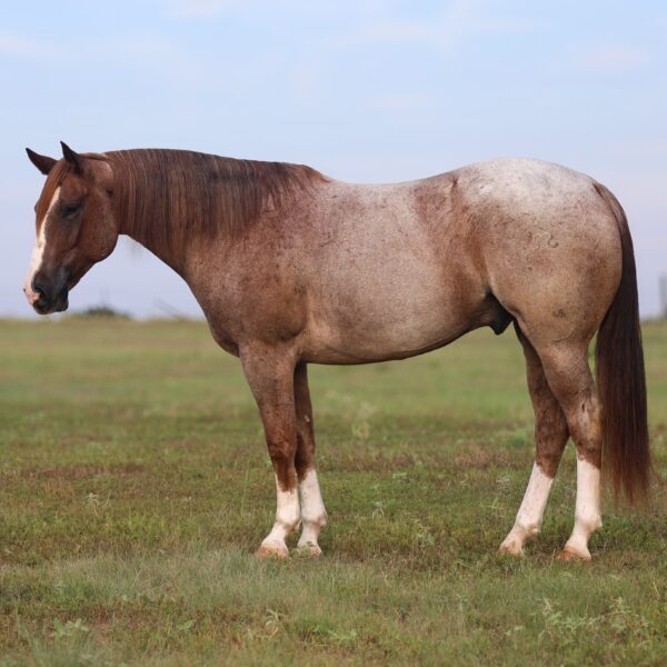 3301A45B-7E27-499F-8B45-05EF8B72F6B1