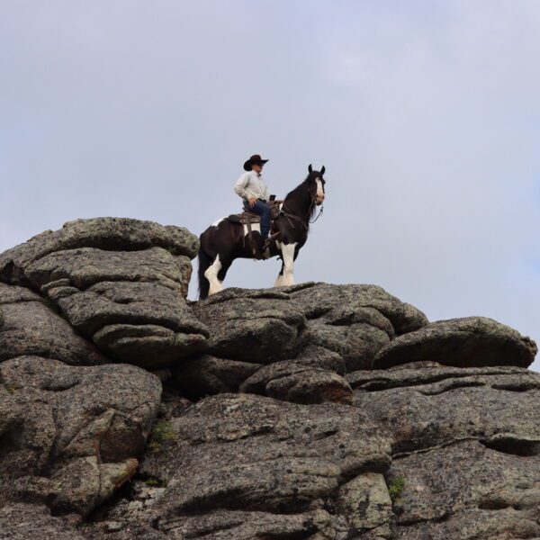 8CEAD18A-2395-437E-BAB9-4041FC1294BE_1_105_c