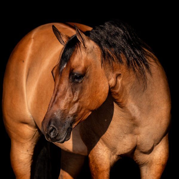 92E7AD56-2300-4528-953A-4A06690CE01B