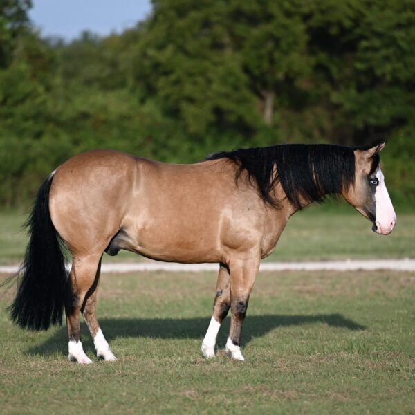 C526644E-60AE-4EDD-A557-3FD96D597C6E