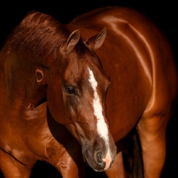 F4CD331D-7B8B-4CBF-8DC1-5C53BCE399AA