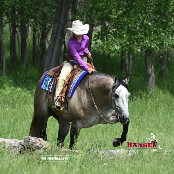 Macho_HansenPerformanceHorsesWeb8