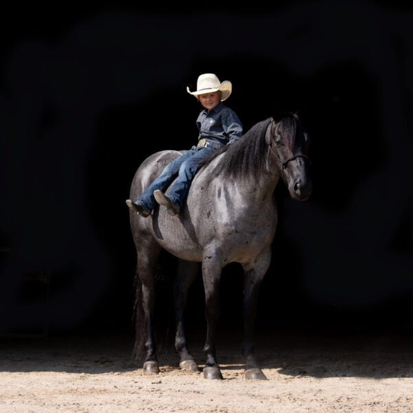 fieldhorse_photo_1623161784265Bootjack-scaled