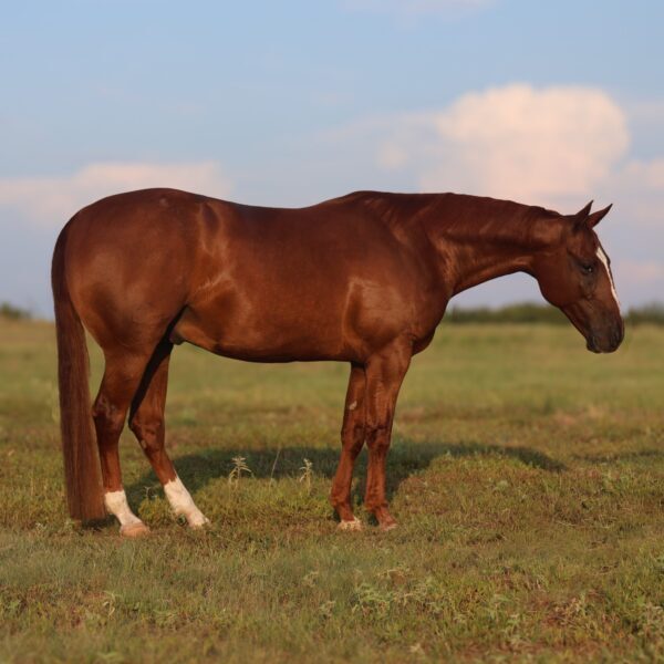 unnamed-file-2-scaled