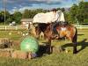 Khonshu Others (6)