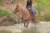 image00006