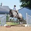 Sasquatch_HansenPerformanceHorsesWeb9