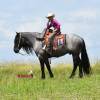 Sasquatch_HansenPerformanceHorsesWeb14