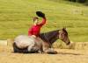 _91A5993-2 copy