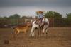 image00009