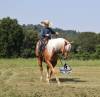 fieldhorse_photo_1623161784265Cinco1-5