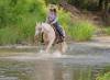 image00005