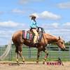 Minion_HansenPerformanceHorsesWeb3