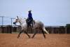 fieldhorse_photo_1623161784265-3