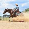 Stiletto_HansenPerformanceHorsesWeb13
