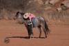 image00009