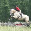 OneTon_HansenPerformanceHorsesWeb14