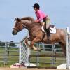 KoolAid_HansenPerformanceHorsesWeb9