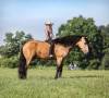 fieldhorse_photo_1623161784265Ariat3.0-scaled