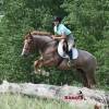 KoolAid_HansenPerformanceHorsesWeb11