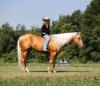 fieldhorse_photo_1623161784265Cinco1