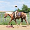 Minion_HansenPerformanceHorsesWeb12