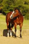 _91A9995-2 copy