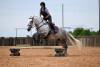 fieldhorse_photo_1623161784265-4
