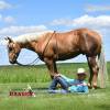 Minion_HansenPerformanceHorsesWeb10