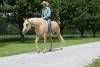 image00011