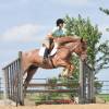 KoolAid_HansenPerformanceHorsesWeb12