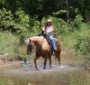 fieldhorse_photo_1623161784265Cinco1-7