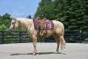 image00006