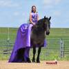 Sasquatch_HansenPerformanceHorsesWeb6