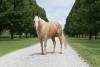 image00010
