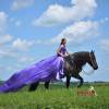 Sasquatch_HansenPerformanceHorsesWeb16