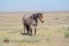 image00002