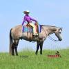 Macho_HansenPerformanceHorsesWeb3