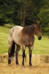 _91A1716-2 copy