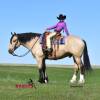 OneTon_HansenPerformanceHorsesWeb4