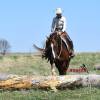 Stiletto_HansenPerformanceHorsesWeb28