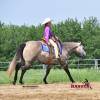 Macho_HansenPerformanceHorsesWeb10